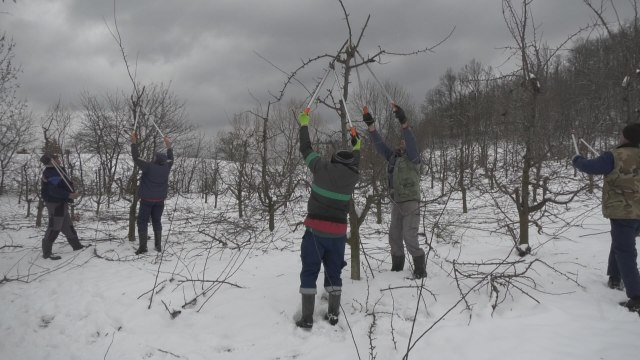 Oni su najtraženiji majstori preko zime: Bukirani sve do aprila