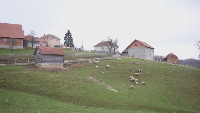 Idealna prilika da postanete pravi domaćin – ovo su i uslovi