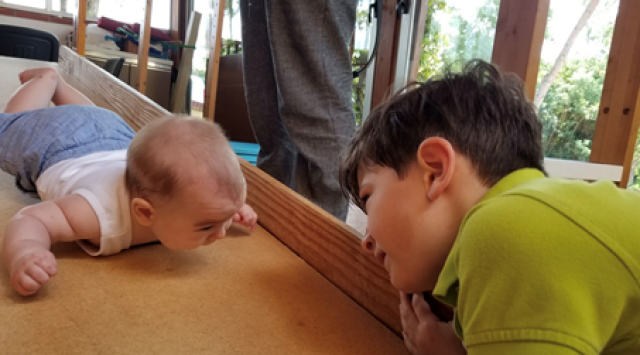 Doman metod za lečenje dece sa teškoćama u razvoju: 