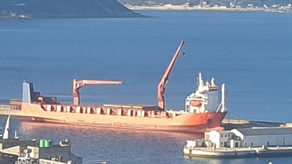 Pokrenuta je istraga o okolnostima pristajanja ruskog broda Lejdi R u Južnu Afriku u decembru prošle godine/BBC