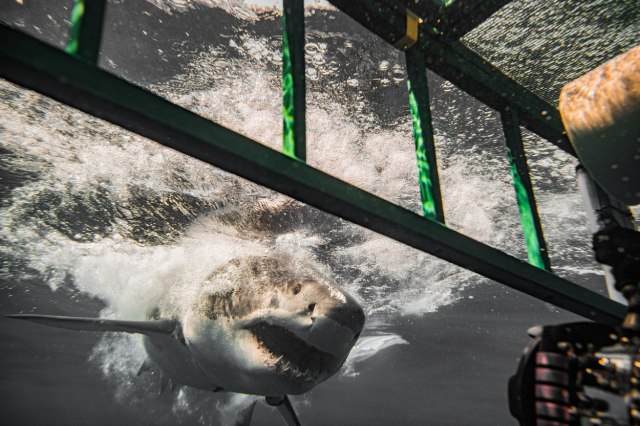 Panika u Hurgadi sve više uzima maha: Uvode se nove mere - "Molim vas, nemojte..."