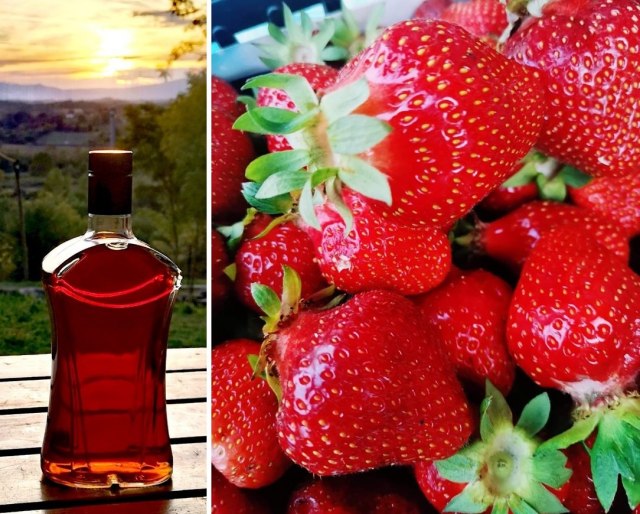 Napravio rakiju od jagoda – i od kvaliteta i od cene boli glava