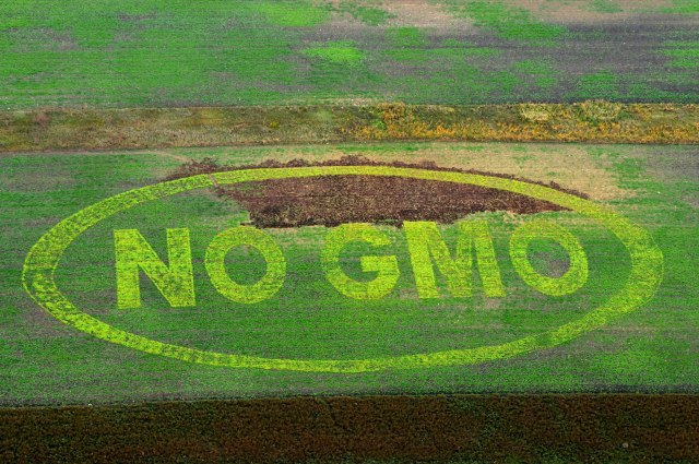 EK predložila reviziju pravila o GMO: Ublažavaju ogranièenja