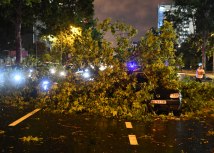 FOTO TANJUG/ NENAD MIHAJLOVI�/ bg