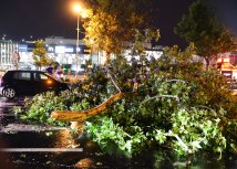 FOTO TANJUG/ NENAD MIHAJLOVI�/ bg