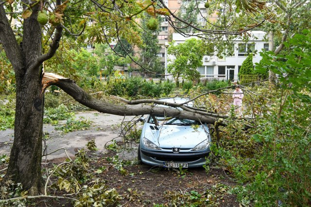 Chaotic consequences of the storm: Hail caused great damage, broken windows... VIDEO