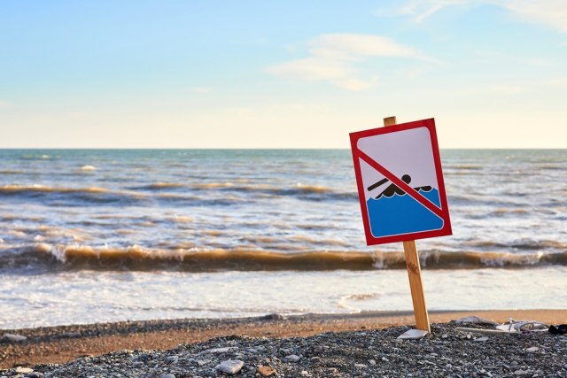 Uzbuna u Španiji, zabranjeno plivanje: Dve ajkule primećene blizu obale, turisti šokirani