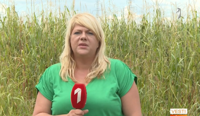 Pao mali avion u Beogradu; stradao pilot (VIDEO)