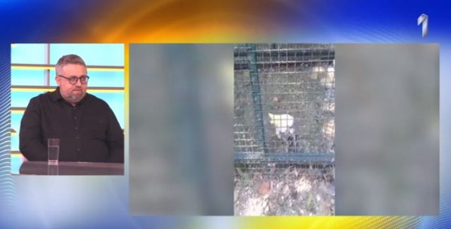 Slučaj Zoo vrta u Boru: Otkriveno šta je utvrdila inspekcija (VIDEO)