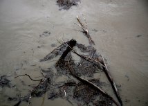 FOTO TANJUG/ FOTO HINA/ZVONIMIR KUHTI�/ bg