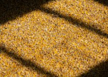 Ilustracija: Shutterstock/Michael Dechev