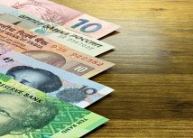 Ilustracija: Shutterstock/Bjoern Wylezich