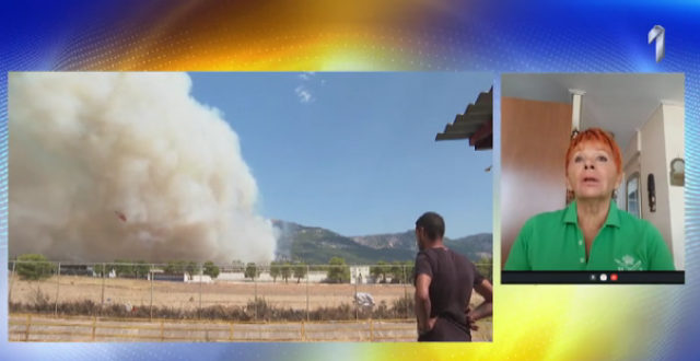 Požari u Grčkoj: Prethodnih dana činilo se kao da je sumrak; očekuje se jak vetar za vikend da situacija ponovo krene da izmiče kontroli