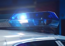 Shutterstock/vmargineanu