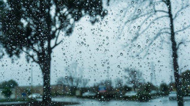 A storm has arrived in Serbia: The sky in Belgrade darkened - strong gusts of wind - Vimarsana News
