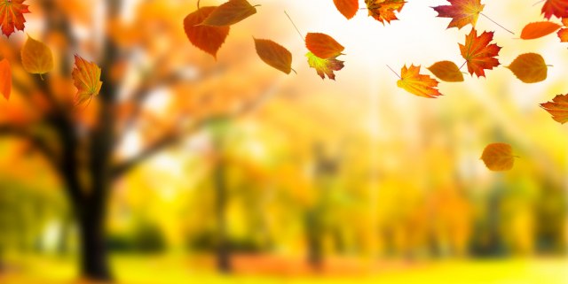 Miholjsko leto je tu, ali 5. oktobra...