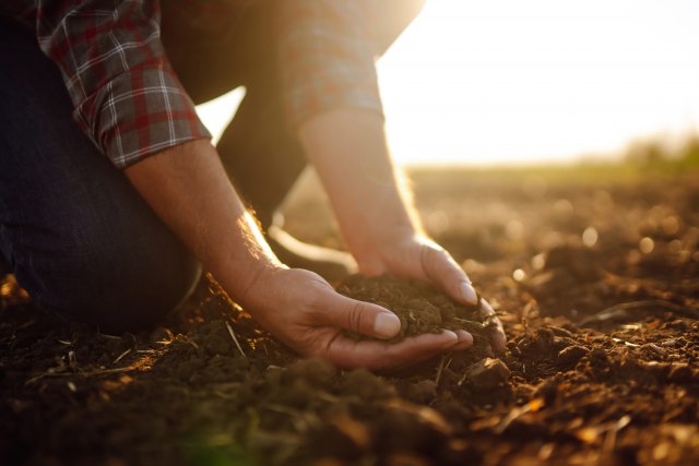 Foto: shutterstock, agriculture