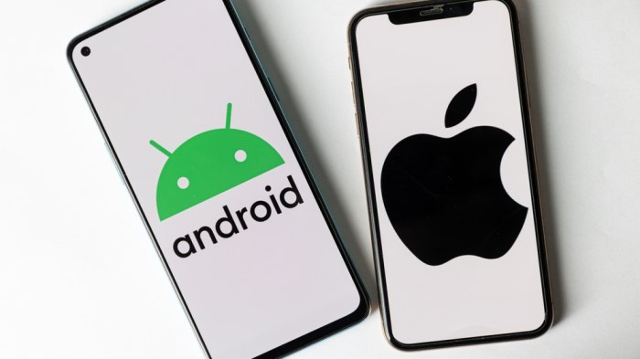 Šta je bolje: iOS ili Android? ANKETA