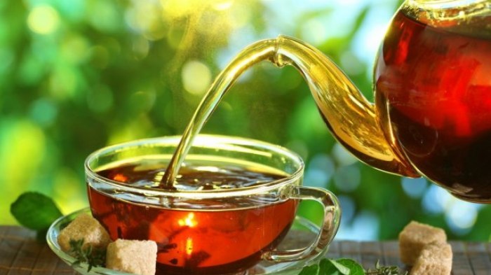 Il tè preparato con la corteccia di un alimento poco costoso ti salverà la salute: Ippocrate si curava con esso