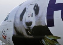 Tian Tian i Jang Guang su stigli posebnim Panda ekspres kargo avionom/Getty Images