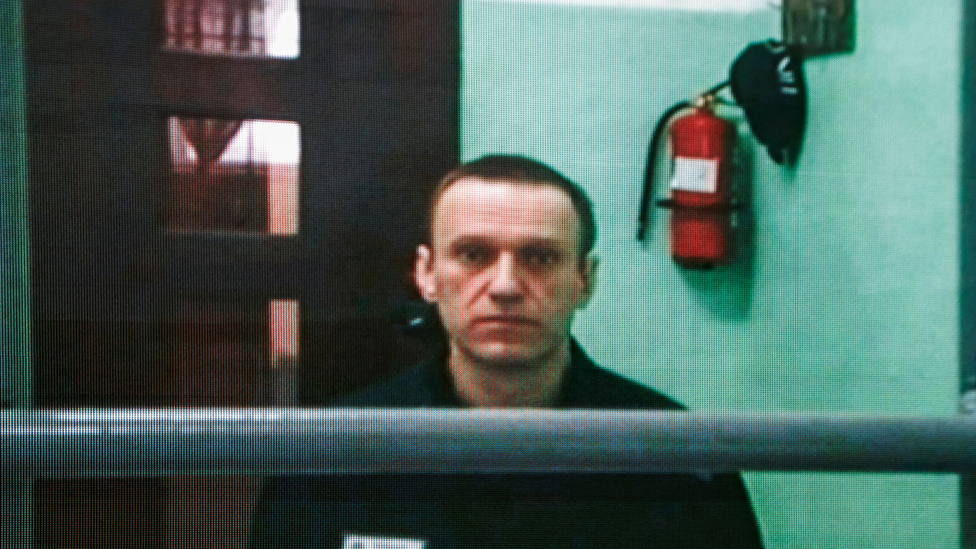Navaljni se na poslednjih nekoliko roèišta ukljuèio putem video-poziva/EPA