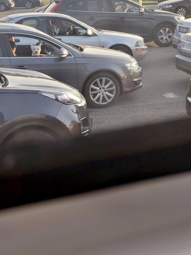 There is no wayout: Belgrade has "woke up" in traffic jam PHOTO