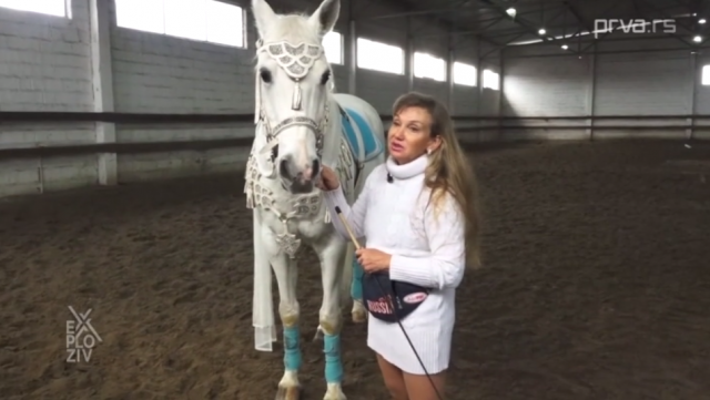 Vlada je dovela CIRKUS u jedno selo u Srbiji - konj je iz Rusije putovao 14 dana: „Brena je sedela na lancu ceo život, a sada je GLUMICA“ (VIDEO)
