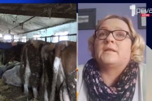 Foto: Prva TV Printscreen