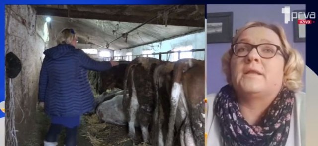 Pre 30. godine završila je TRI FAKULTETA, i kada je htela da se zaposli - kazali su da je PREKVALIFIKOVANA: Danas živi na selu i UZGAJA STOKU