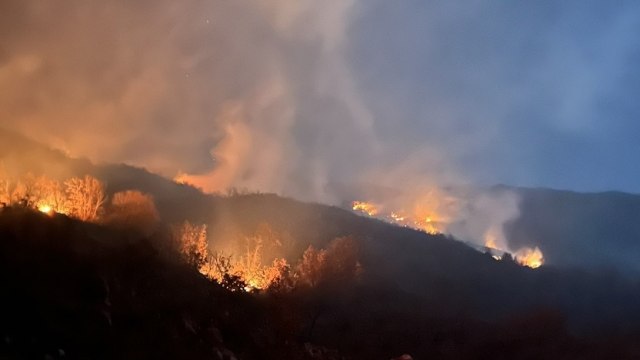 Veliki šumski požar buknuo kod Cetinja FOTO