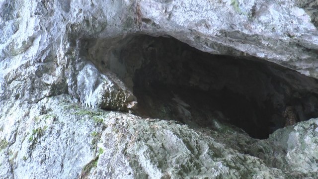 Legenda o Savinim isposnicama i dan-danas živi: Velika srpska svetinja vekovima odoleva  FOTO