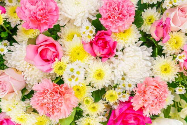 Unesite PROLEĆE u svoj životni prostor: 1. marta nabavite cveće koje označava NOVI POČETAK!