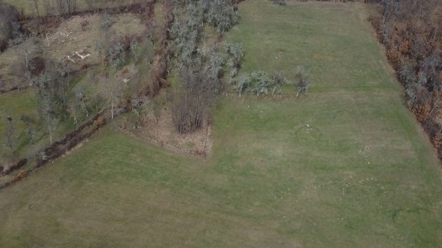 Pojavili se misteriozni krugovi u selu kod Kosjeriæa: Pojedini strahuju od natprirodnih sila FOTO