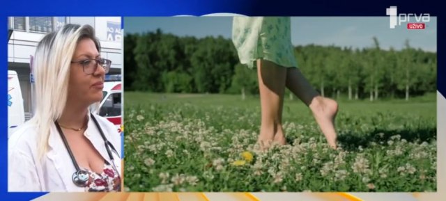 Omogućeno testiranje krpelja na lajmsku bolest o trošku države - da li vam je potreban uput? (VIDEO)