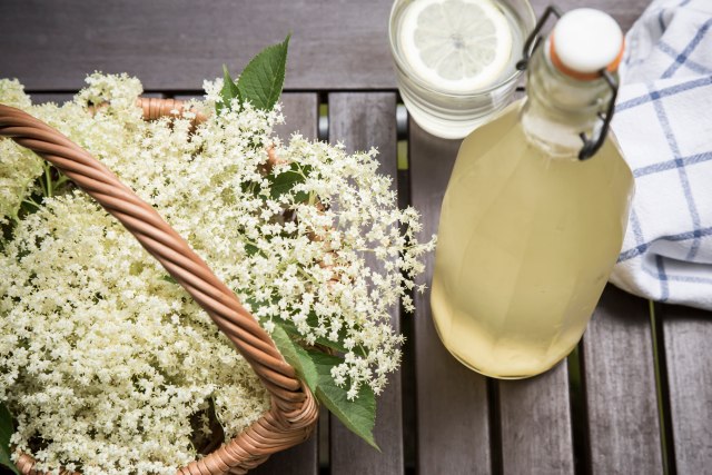 Recept za DOMAĆI SOK OD ZOVE: Od 40 cvetova ćete dobiti SEDAM LITARA SIRUPA, koji 