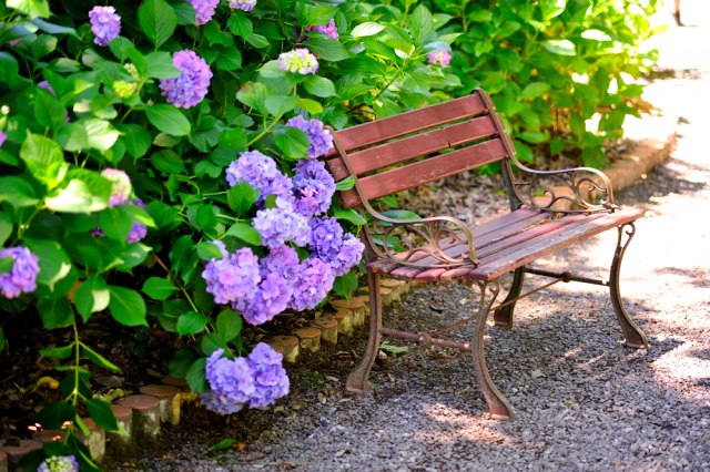Ovaj cvet se obavezno UNOSI U KUĆU ZA VASKRS: Blagoslovila ga je i sama Bogorodica!