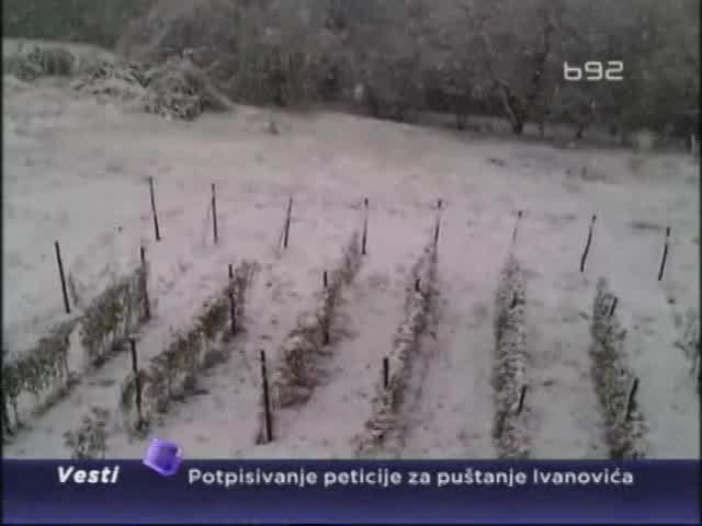 Propalo 15 miliona evra maline