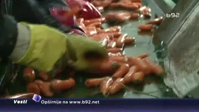 Šargarepa iz Begeèa ulazi u društvo futoškog kupusa