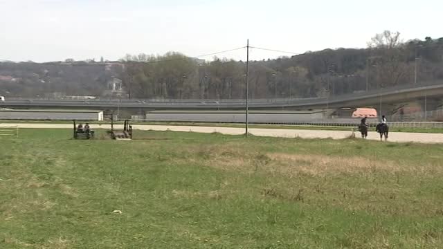 Beograd ostaje bez hipodroma?