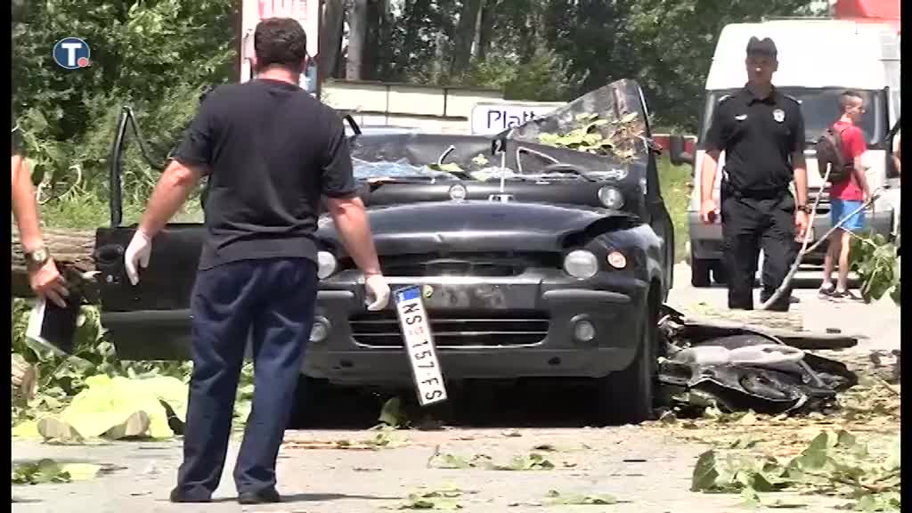 NS: Drvo tokom oluje palo na automobil, poginula žena