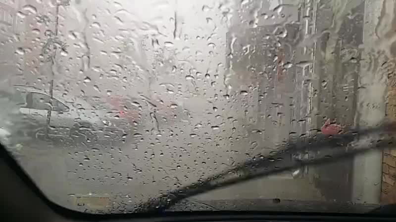 Stiglo nevreme: Oluja u Novom Sadu, stradala žena