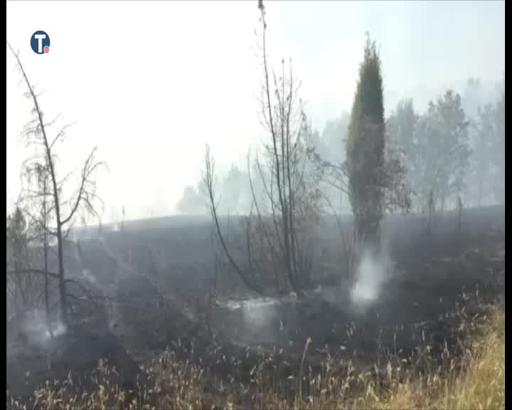 Odbranjeni Koštunići, 19 vatrogasaca sprečilo tragediju