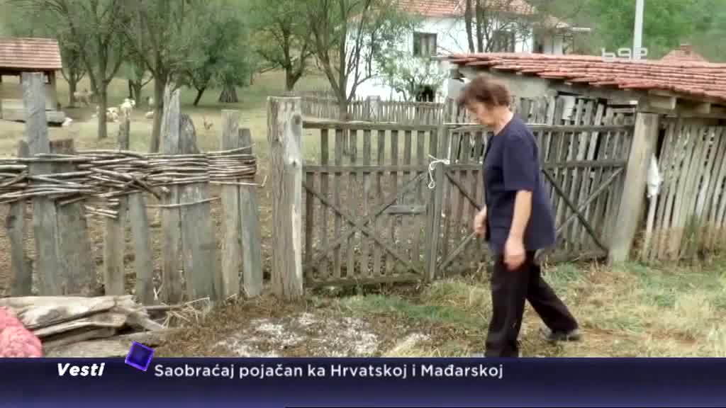 Veliko nevreme širom Srbije, voćari i povrtari očajni
