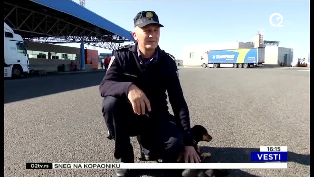 Kendi – pas koji živi na Bajakovu i traži migrante