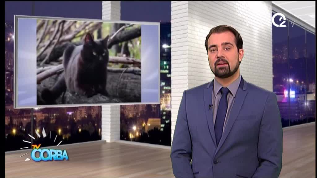 TV Èorba 06.11.2017.