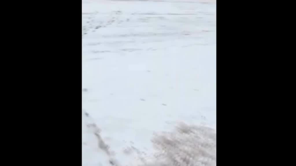 Partizan u Nišu – Èair pod snegom, svlaèionice se raspadaju