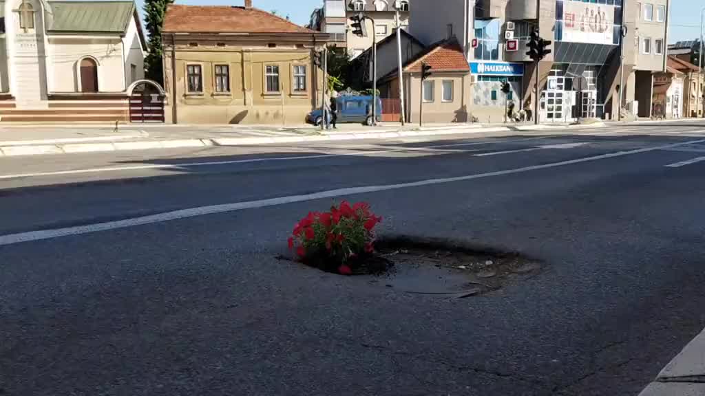 Nišlije sadille cveće u udarnim rupama na ulicama