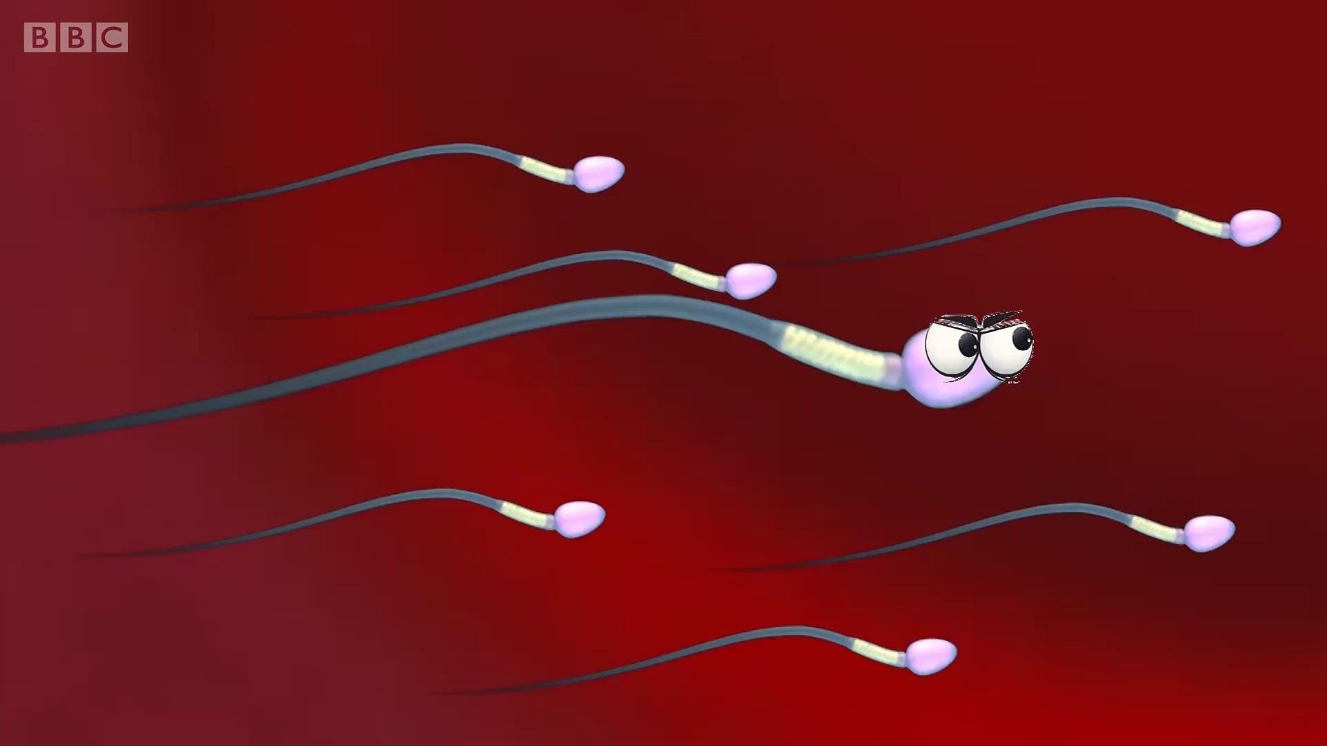 Зашто се број сперматозоида преполовио у 