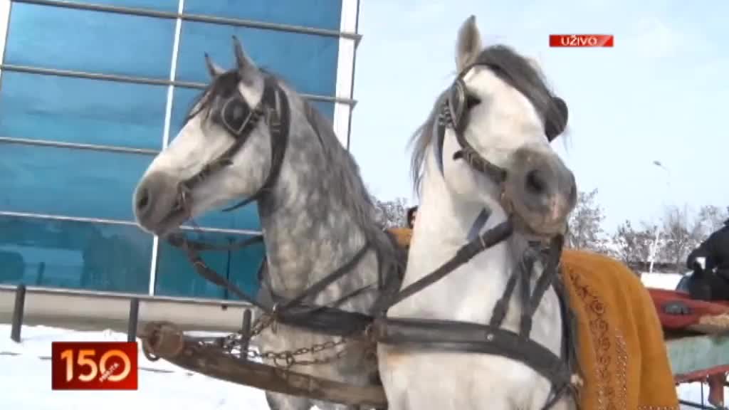 Ljubitelji konja na Božiænoj fijakerijadi u Kragujevcu