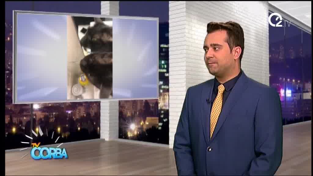 TV Èorba  27.05.2019.